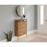 Contemporary Wall-Mount Shoe Cabinet with Mirror