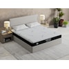 Sherwood Bedding Essence II Firm Essence II Firm Twin Long Mattress