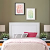 Modway Jessamine Twin Headboard