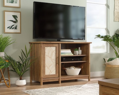 Coastal TV Stand with Reversible Door Panel & Adjustable Shelves