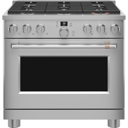 Professional Gas Range