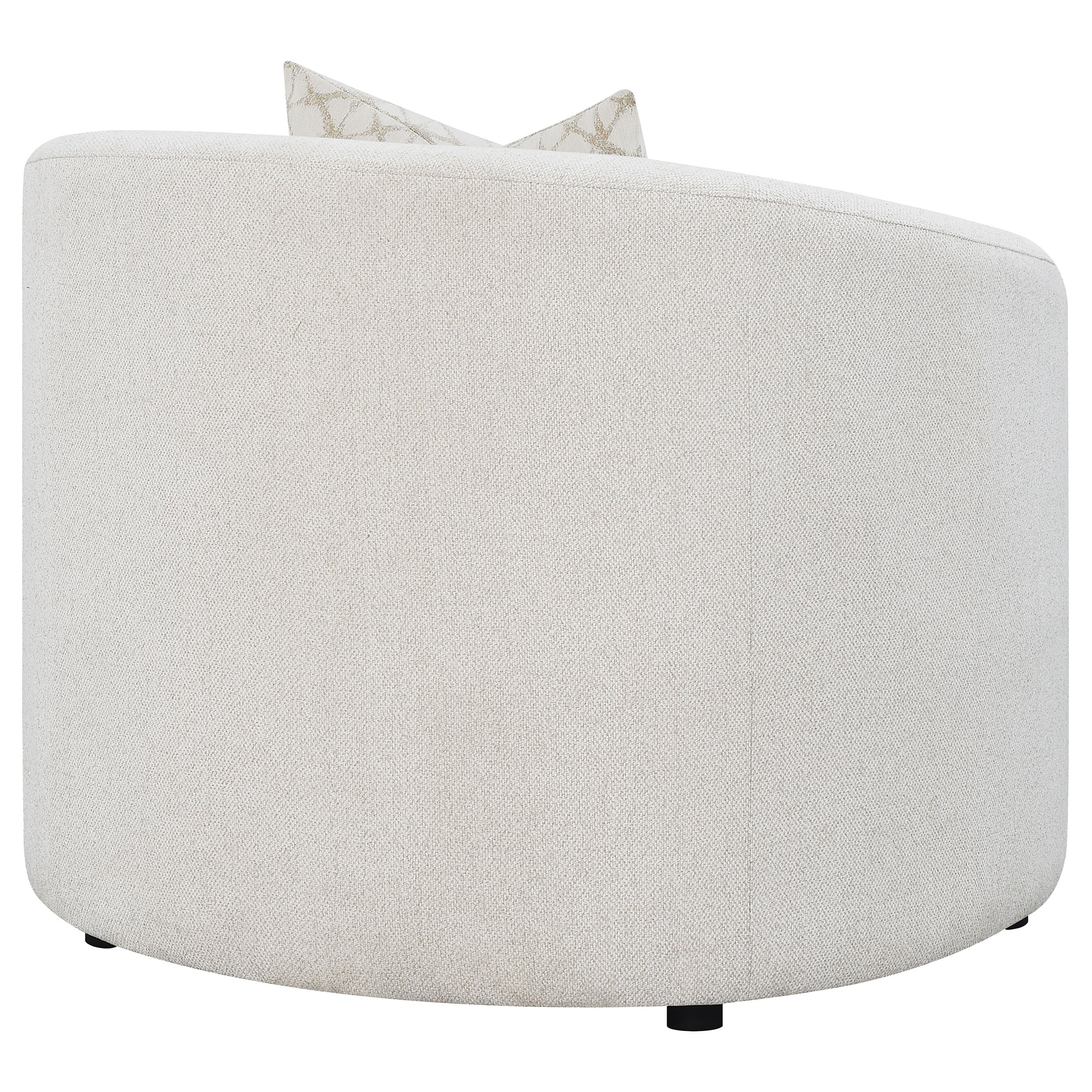 Coaster Rainn Rainn Accent Chair Latte