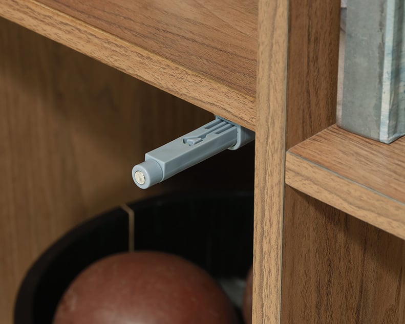 Storage Cabinet with Shelf Storage