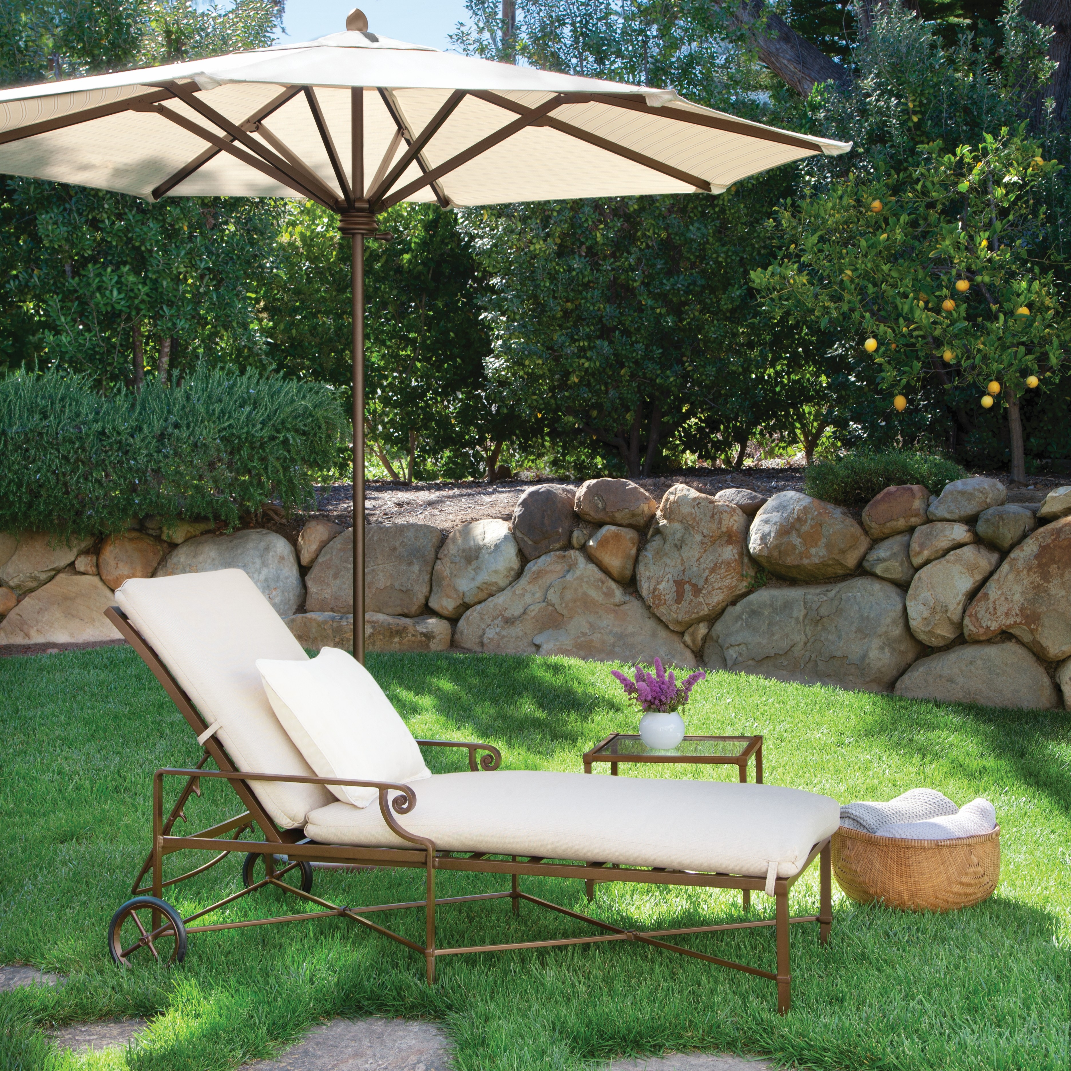 Collection Thumbnail