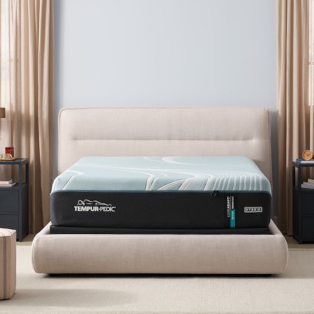 Twin XL Mattress