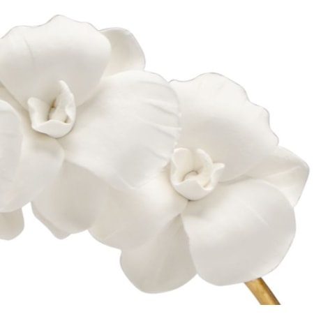 Small Orchid On Stand