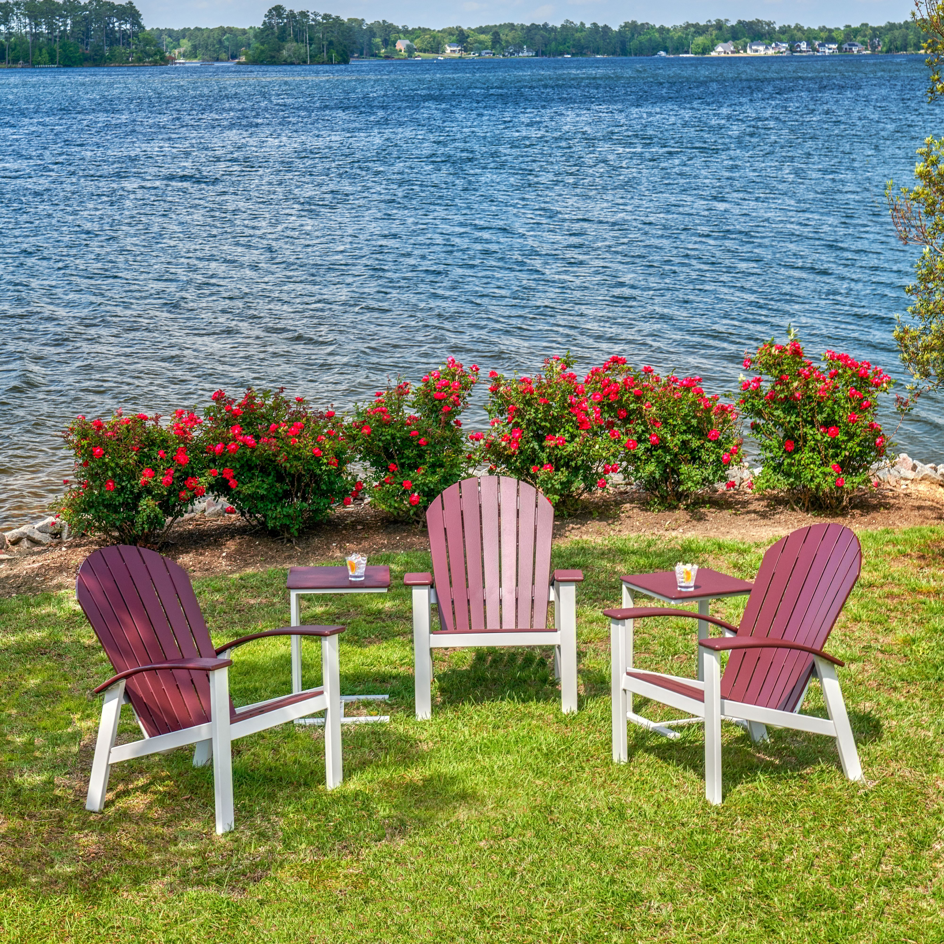 Collection Thumbnail