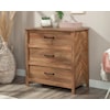 Sauder Cannery Bridge Bedroom Chest