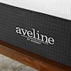 Modway Aveline 16" Memory Foam Queen Mattress