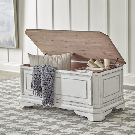 Ashley Amsel Gray Storage Trunk