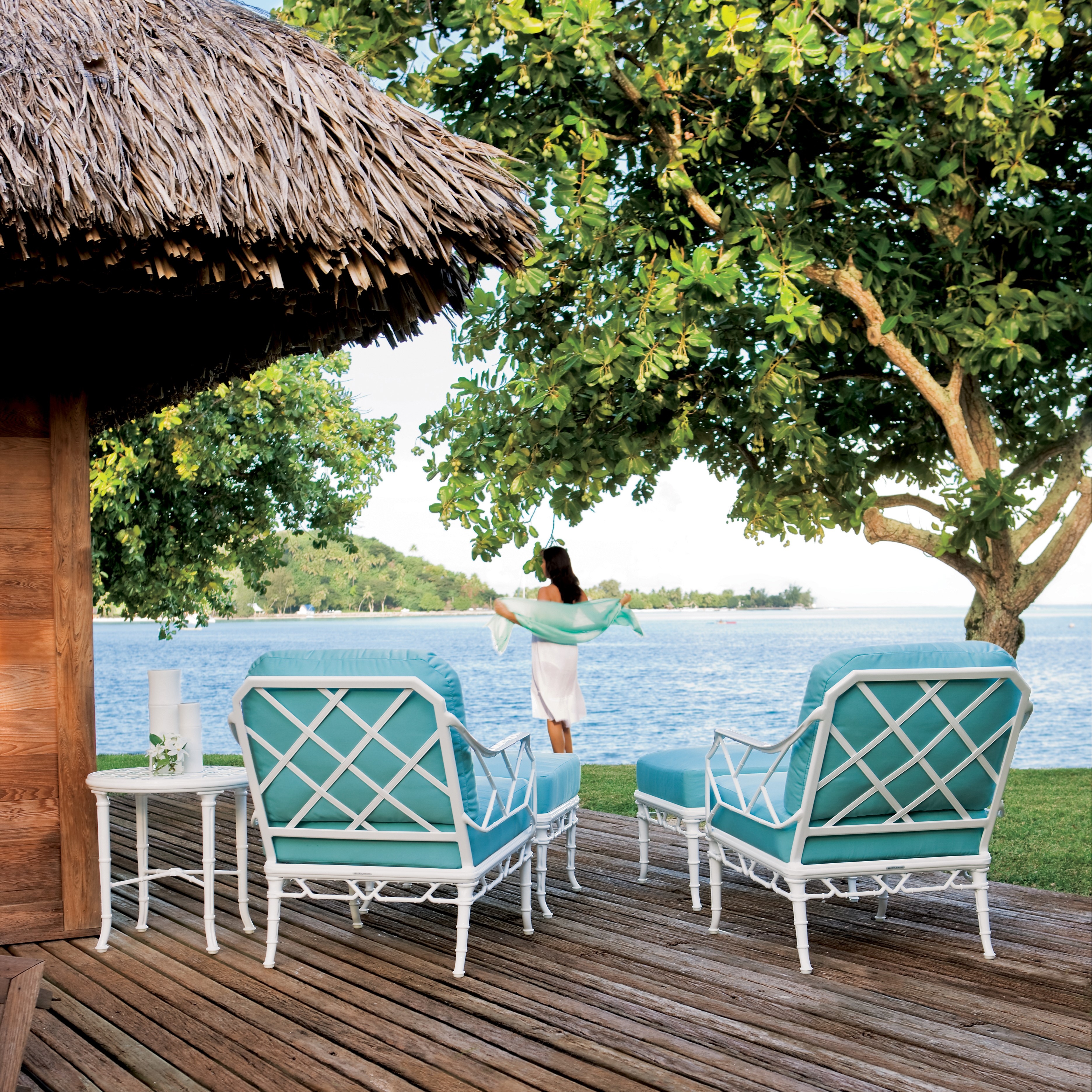 Collection Thumbnail