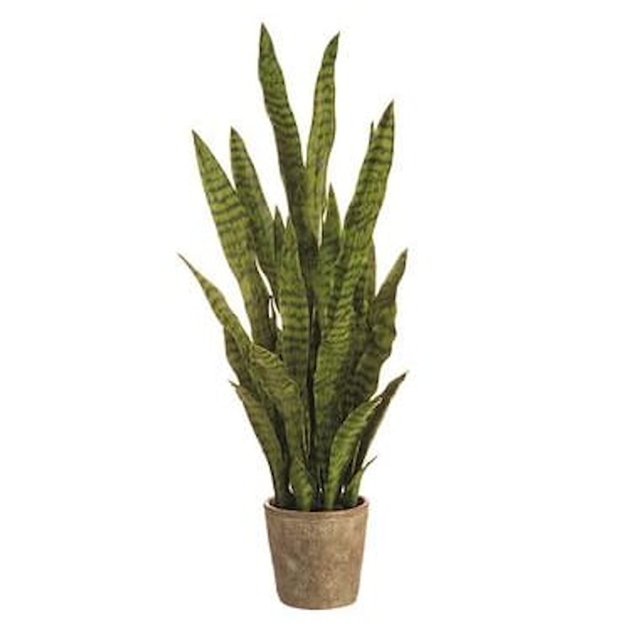 Allstate Floral Parade 37.5" SANSEVIERIA IN CEMENT POT