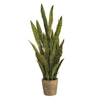 37.5" SANSEVIERIA IN CEMENT POT