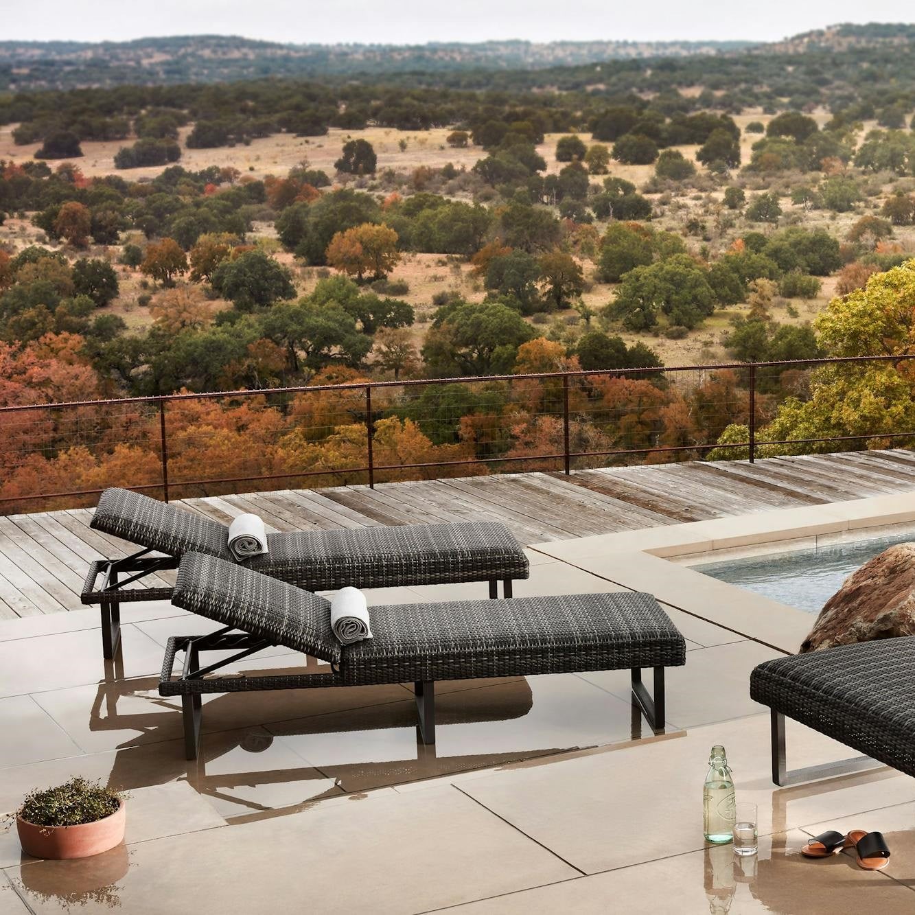 Collection Thumbnail