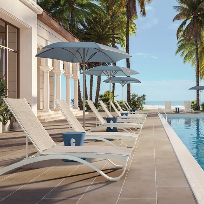 Collection Thumbnail