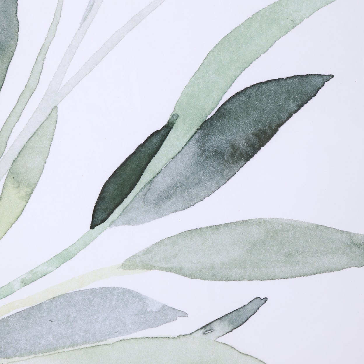 Uttermost Simple Sage Simple Sage Watercolor Prints S/3