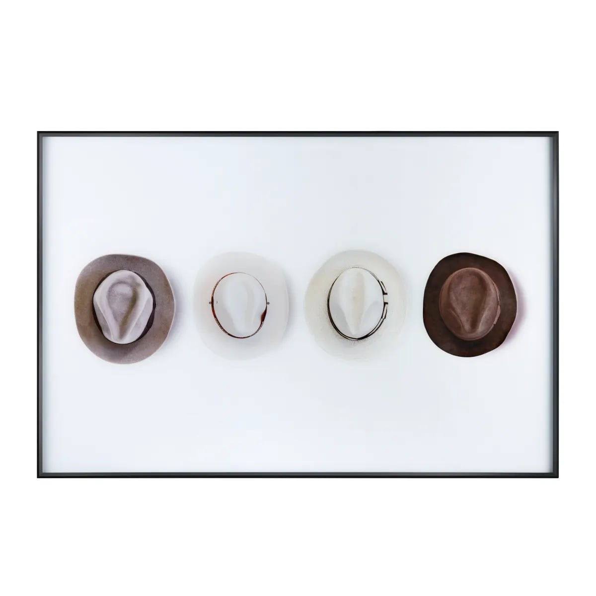 Collection Thumbnail