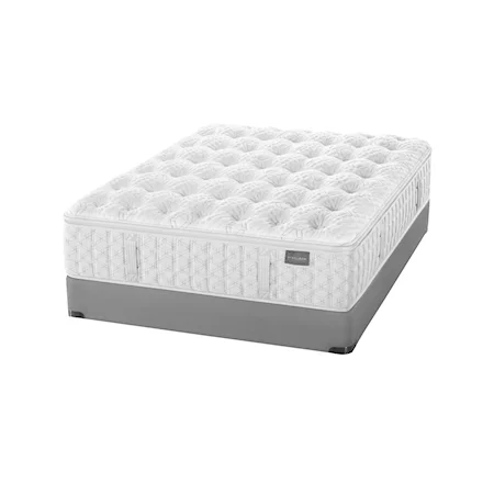 Queen Euro Top Plush Mattress