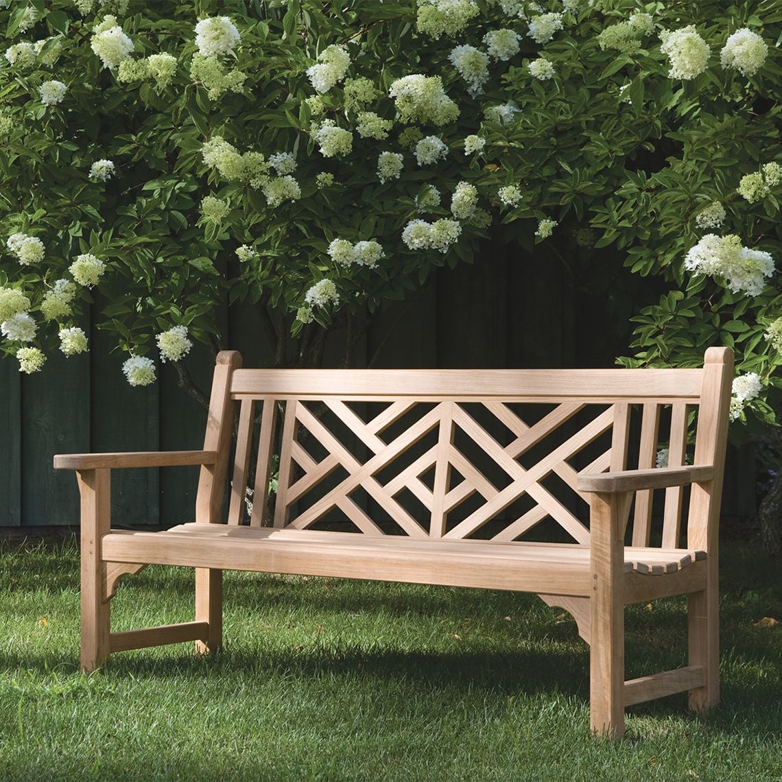 Collection Thumbnail