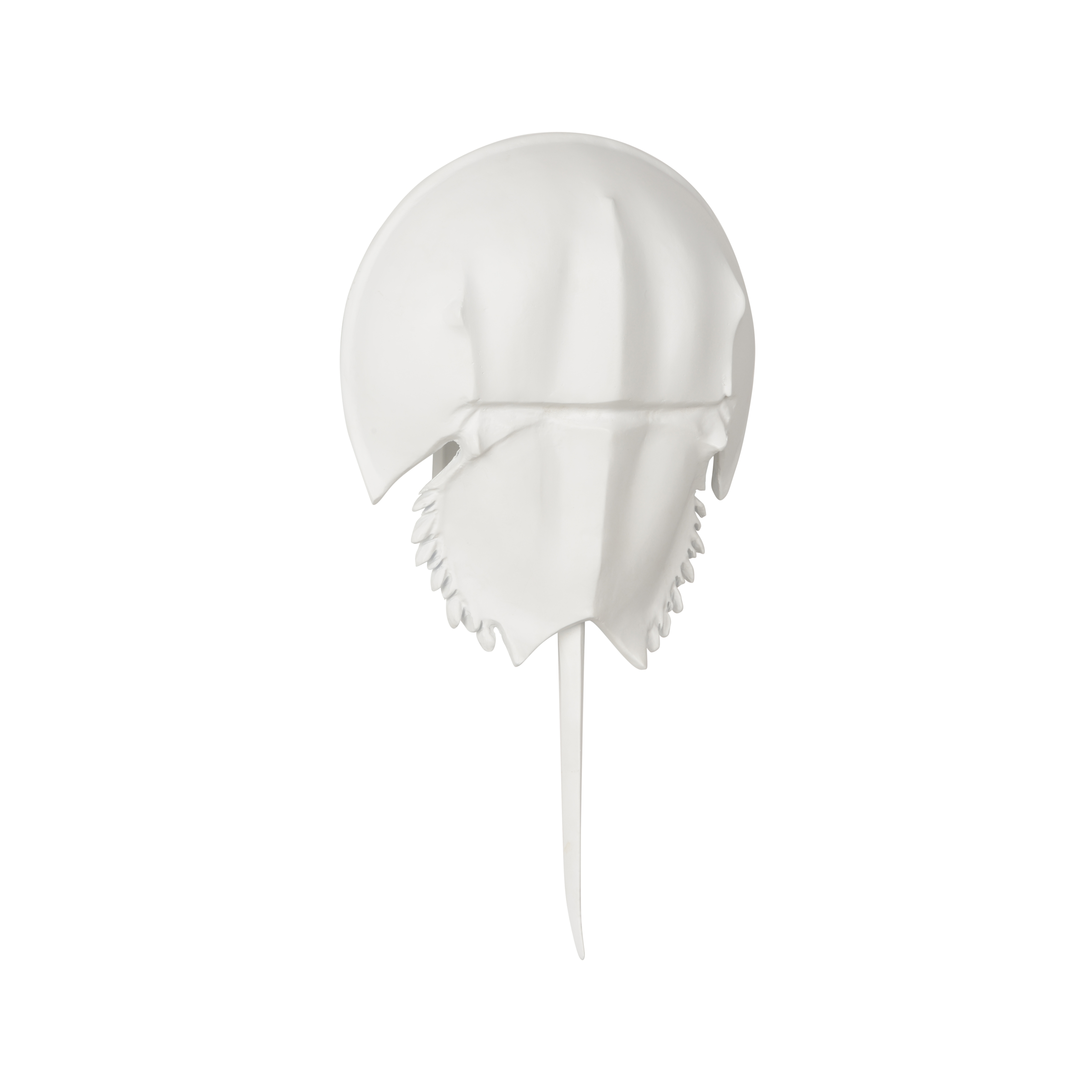 Chelsea House Chelsea House Misc Horseshoe Crab Sconce - White