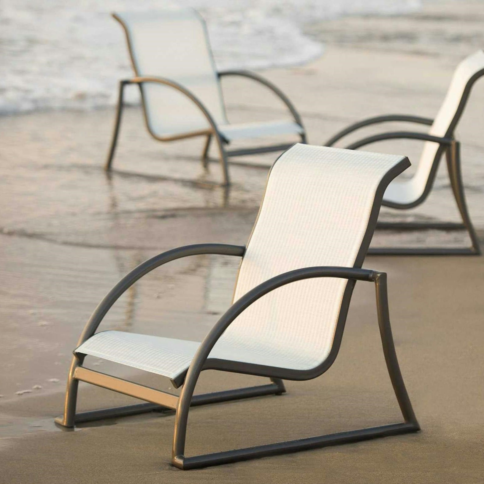 Collection Thumbnail