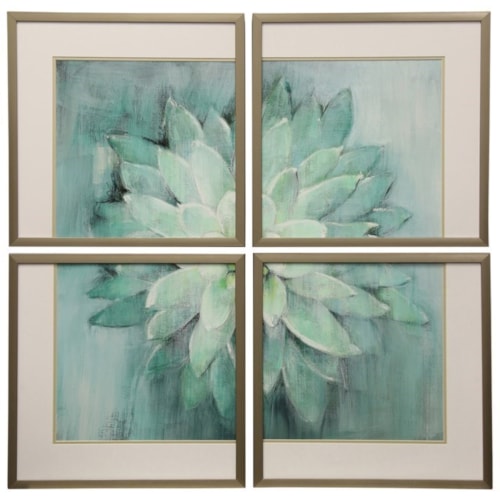 Succulent | Framed Print Under Glass