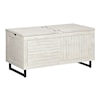 Signature Design Coltport Storage Trunk