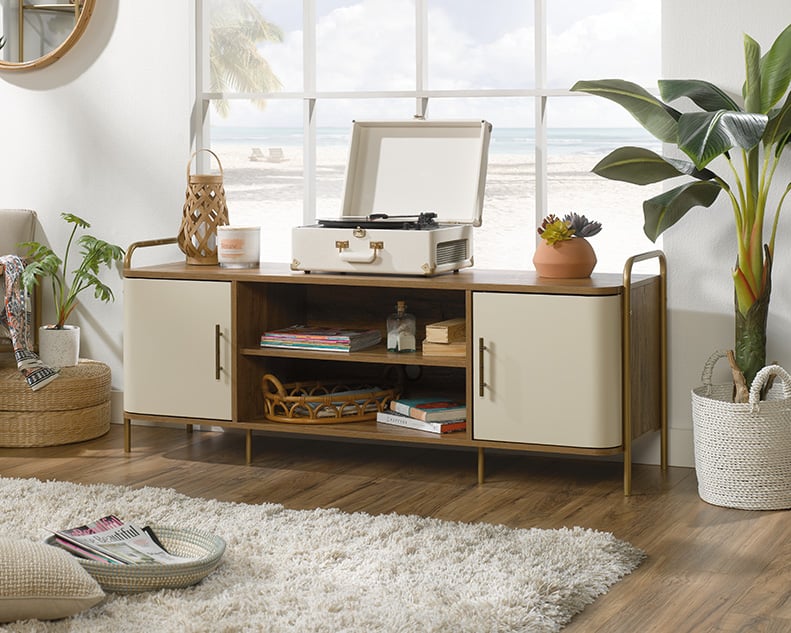 TV Credenza with Adjustable Shelves