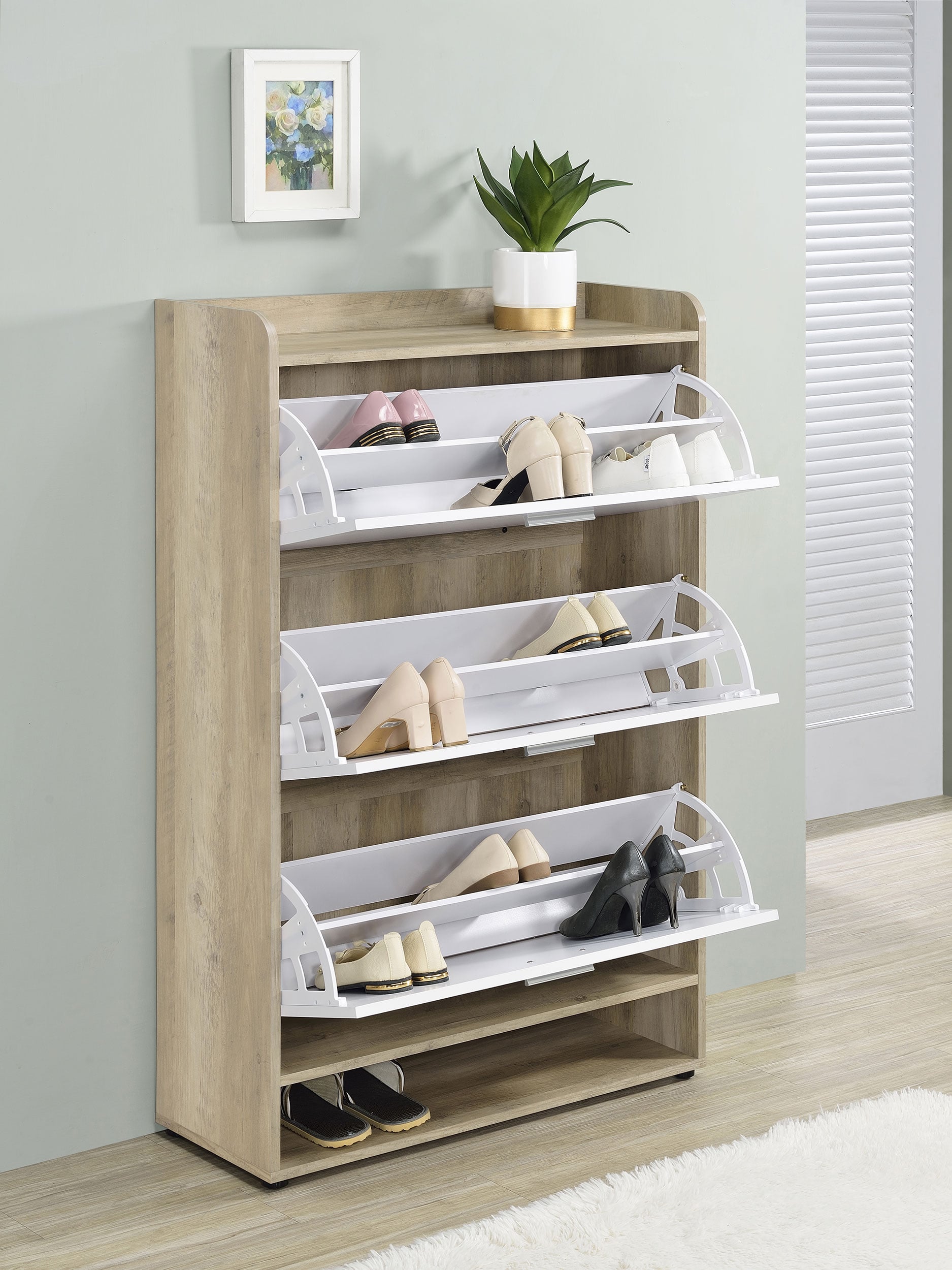 Coaster Denia Denia 3-tier Shoe Cabinet