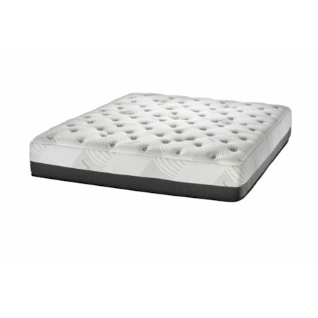 Queen Evergreen Firm Mattress