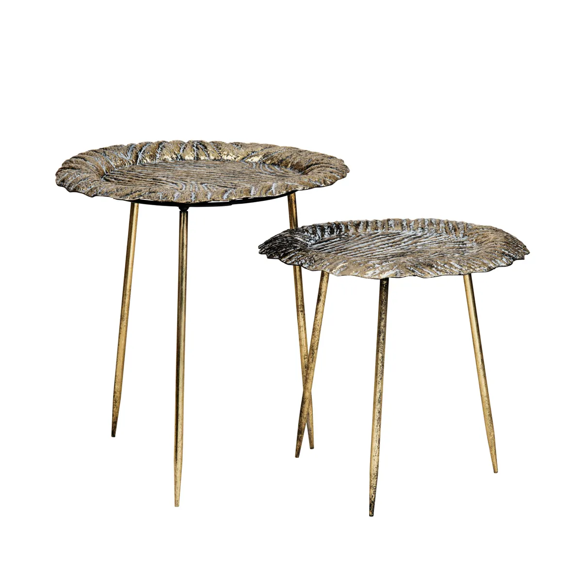 Collection Thumbnail