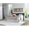 Signature Design by Ashley Furniture Danziar Queen Slat Headboard