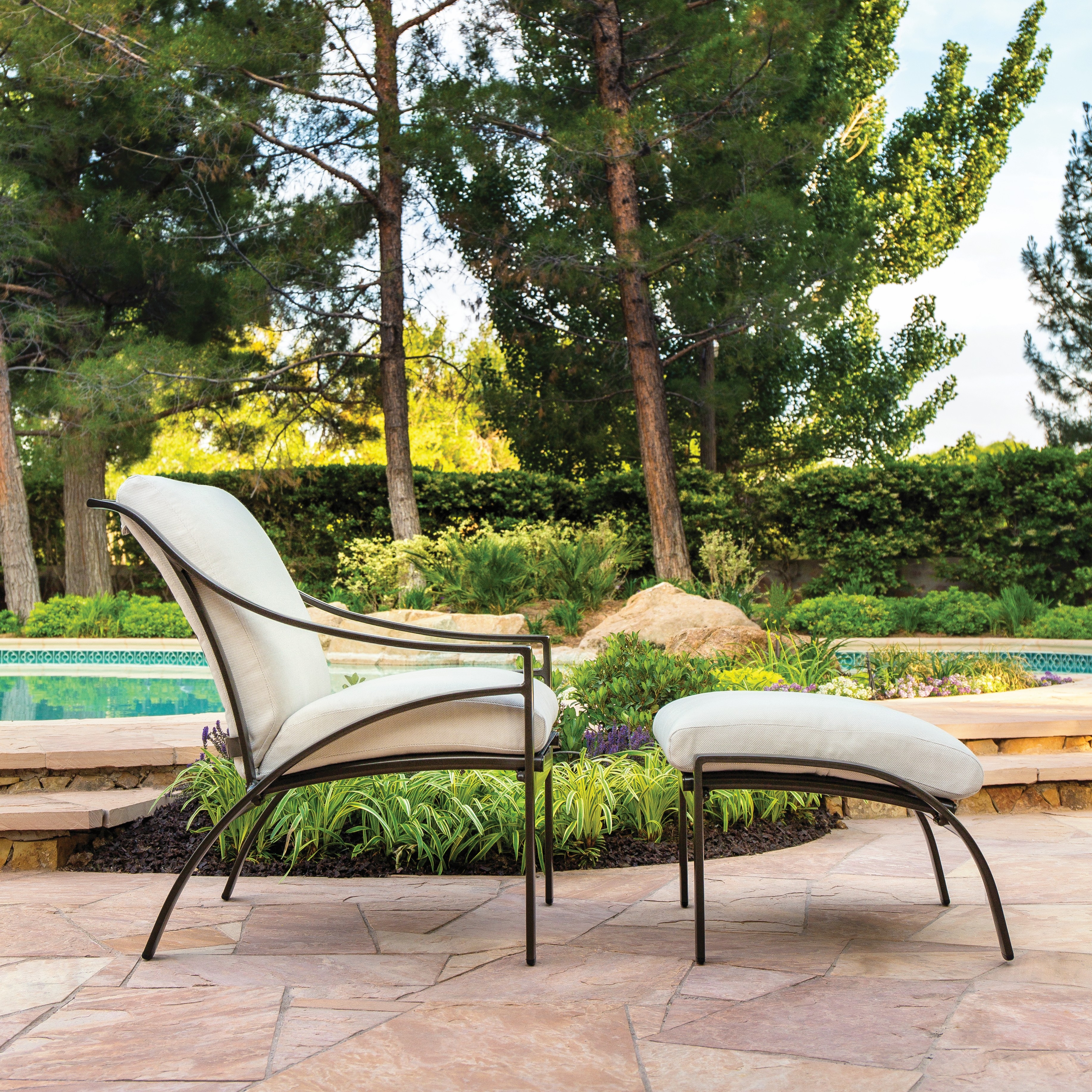 Collection Thumbnail