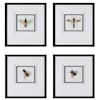 Uttermost Anthophila Anthophila Framed Prints S/4