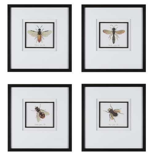 Anthophila Framed Prints, S/4