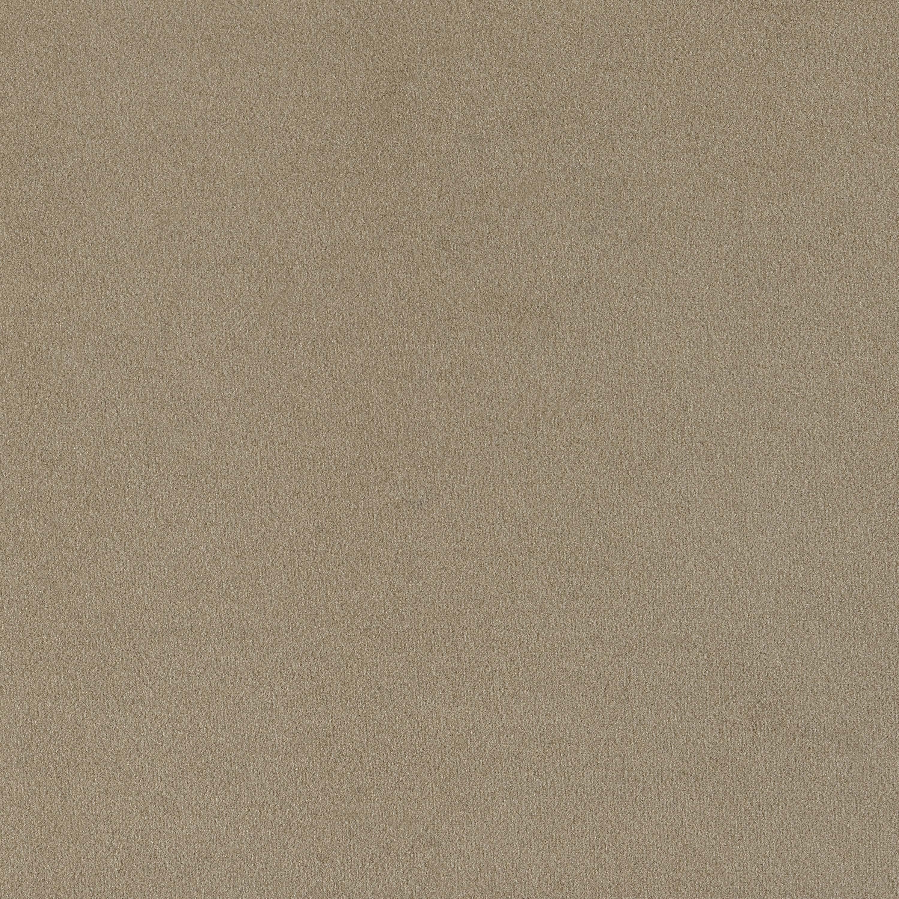 Coaster Rainn Rainn Sofa Latte