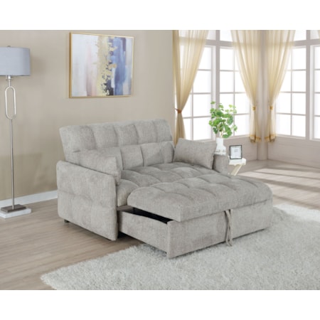 Convertible Sleeper Sofa Bed Light