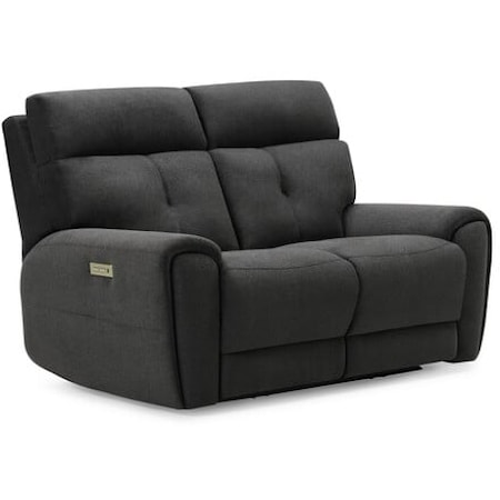 Aedon Contemporary Power Reclining Loveseat w/ Power Headrest