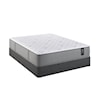 Restonic Anniversary Firm Queen Firm Mattress Set