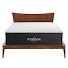 Modway Aveline 16" Memory Foam Queen Mattress