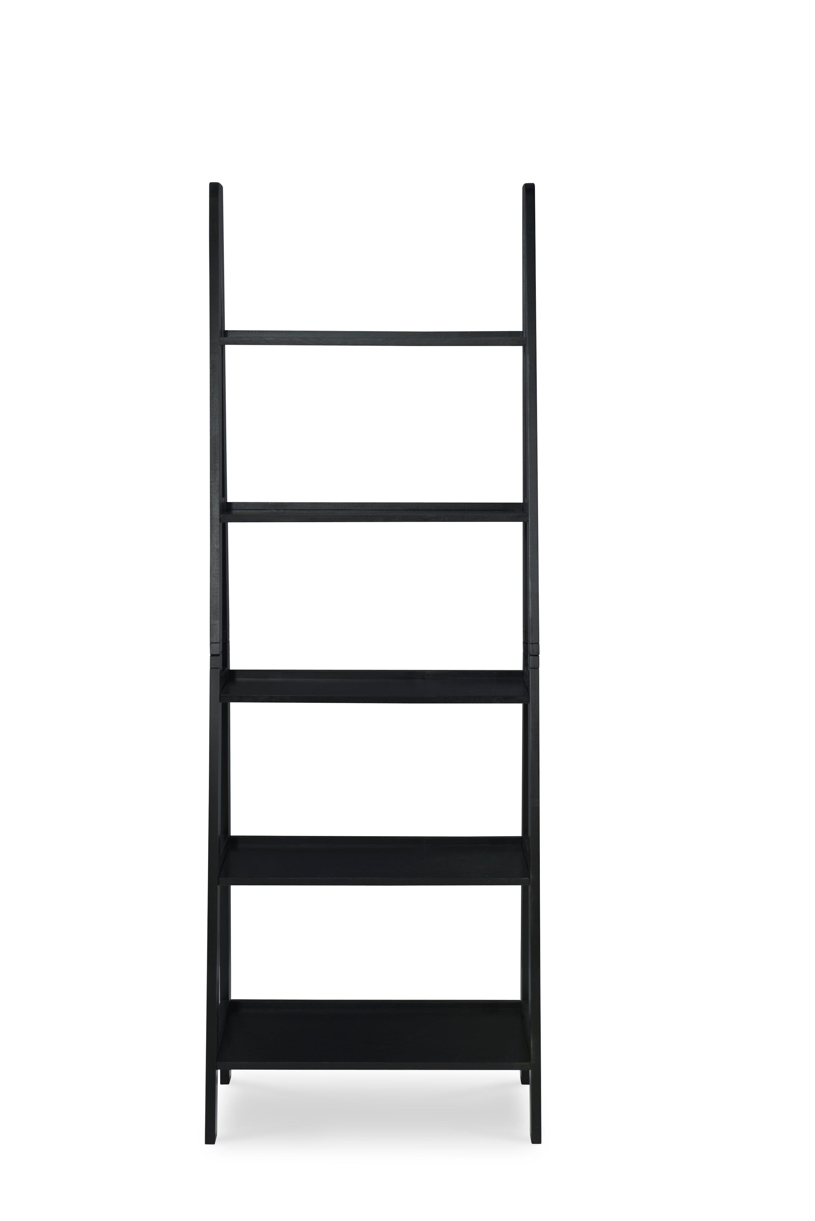 Ladder Bookshelf
