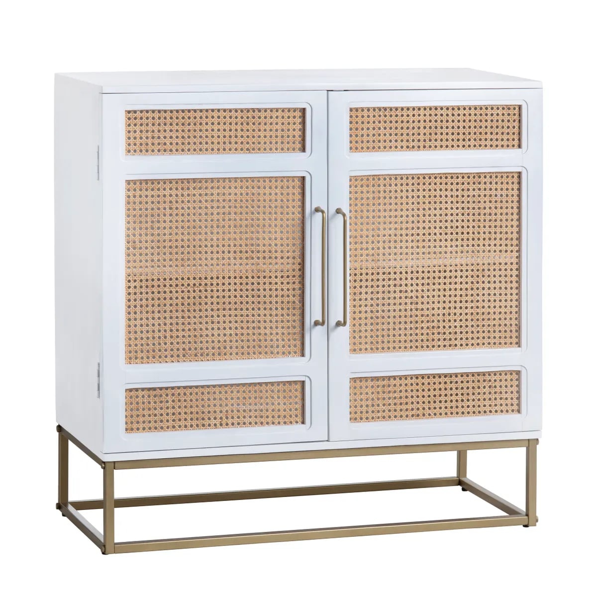 2-Door Cabinet