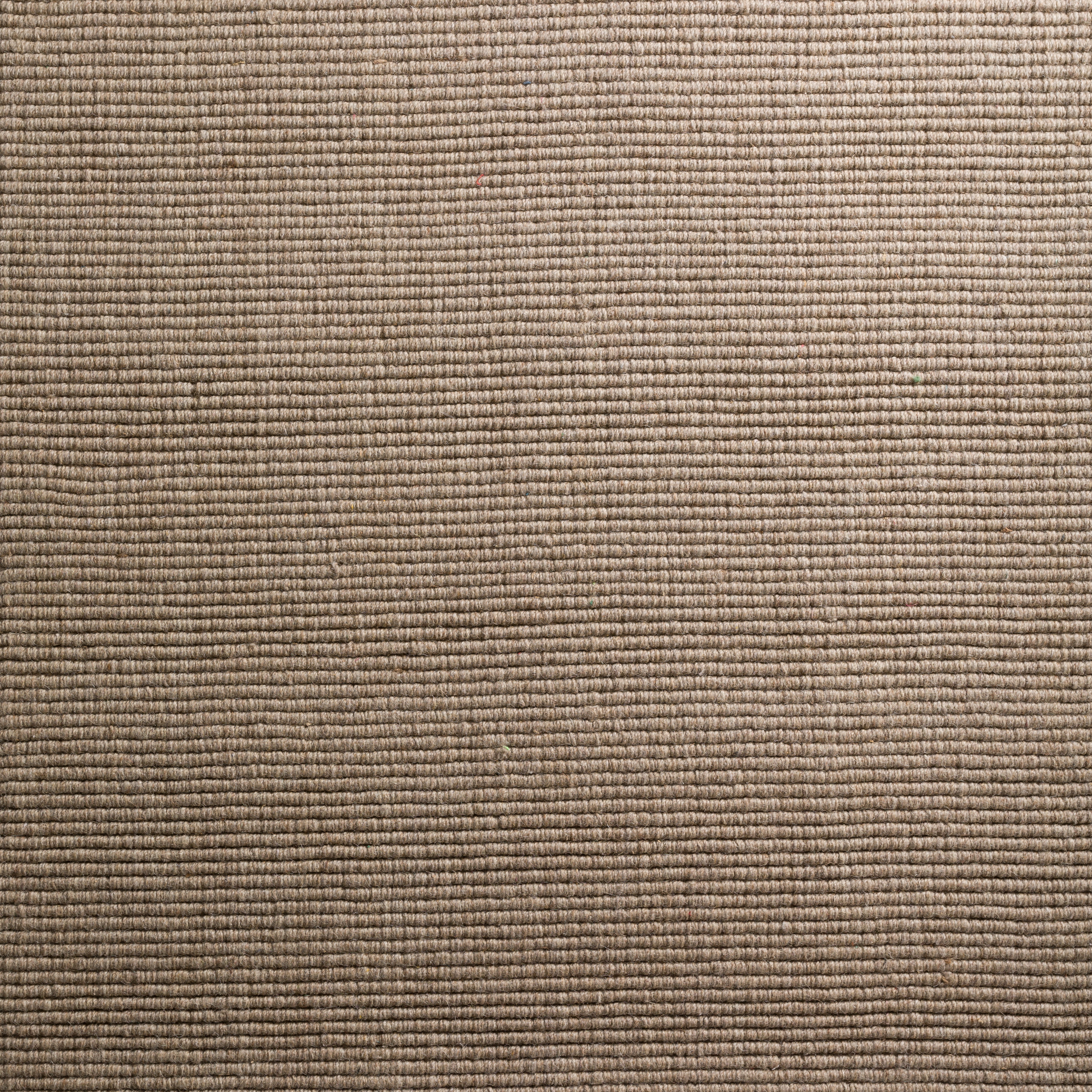 Taupe 9X13 Rug