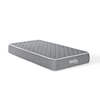 Modway Mila 10" Twin Mattress