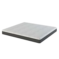 Shock And Awe 8"" Foam Queen Mattress- Expanded
