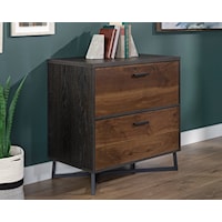Modern Industrial 2-Drawer Lateral File Cabinet