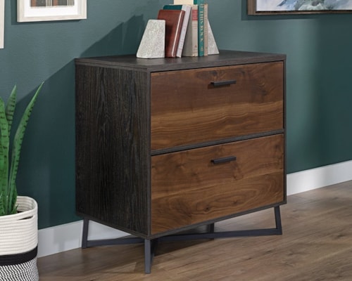 Modern Industrial 2-Drawer Lateral File Cabinet