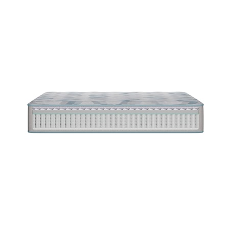 King Plush Tight Top Mattress