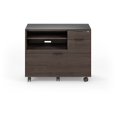 Contemporary Multifunction Office Cabinet with Printer Tray