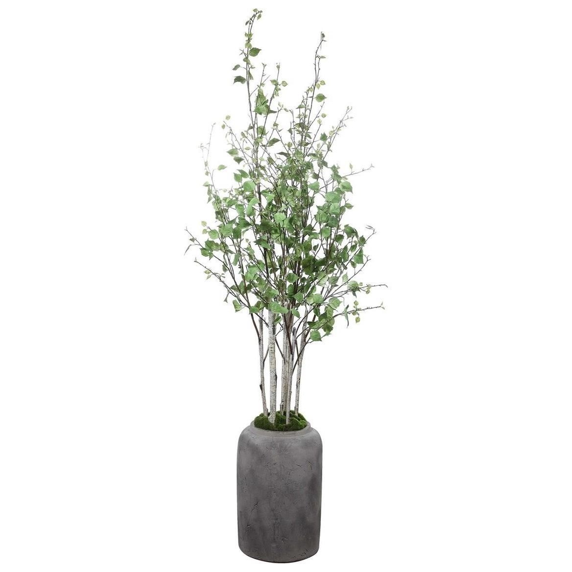 Aldis Potted River Birch